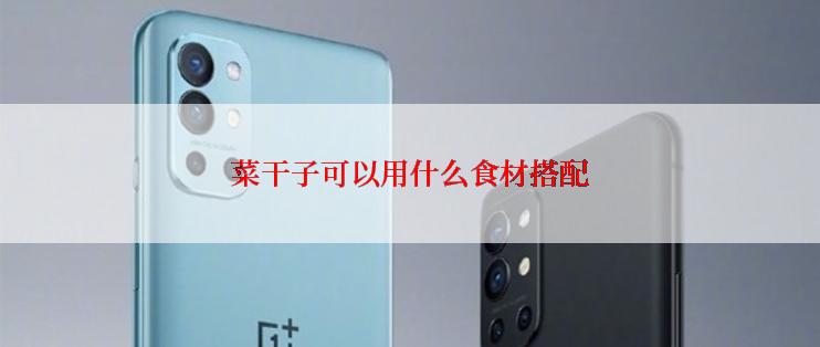 菜干子可以用什么食材搭配