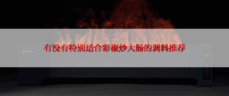 有没有特别适合彩椒炒大肠的调料推荐