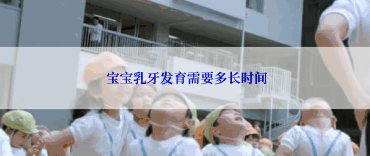  宝宝乳牙发育需要多长时间