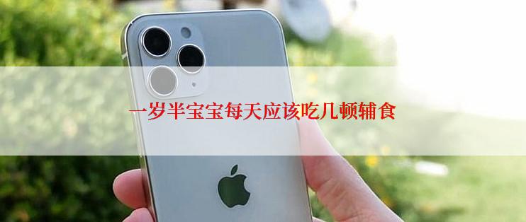 一岁半宝宝每天应该吃几顿辅食