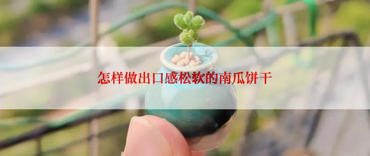 怎样做出口感松软的南瓜饼干
