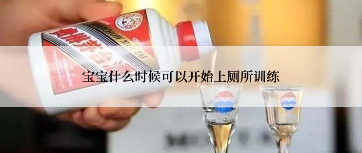 宝宝什么时候可以开始上厕所训练