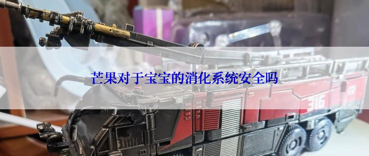 芒果对于宝宝的消化系统安全吗