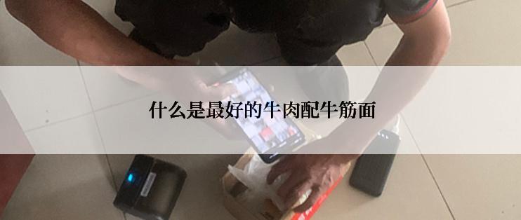  什么是最好的牛肉配牛筋面