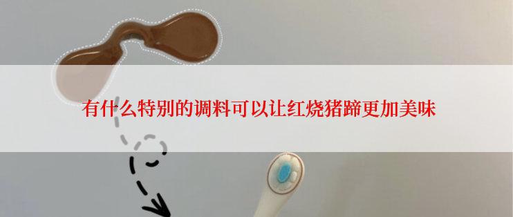  有什么特别的调料可以让红烧猪蹄更加美味