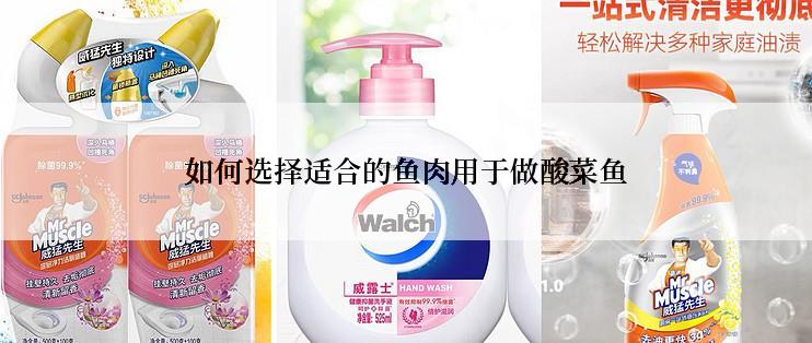 如何选择适合的鱼肉用于做酸菜鱼