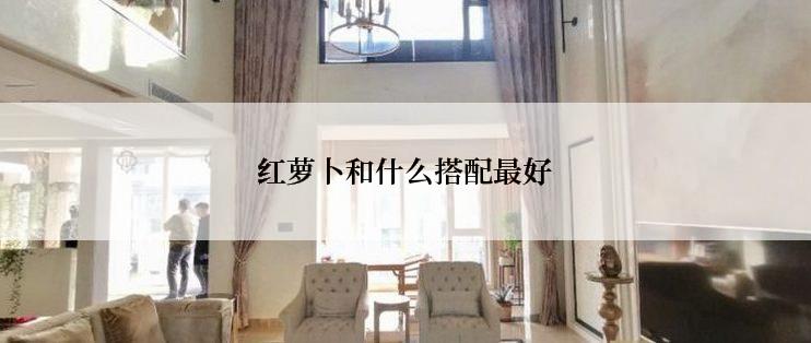 红萝卜和什么搭配最好