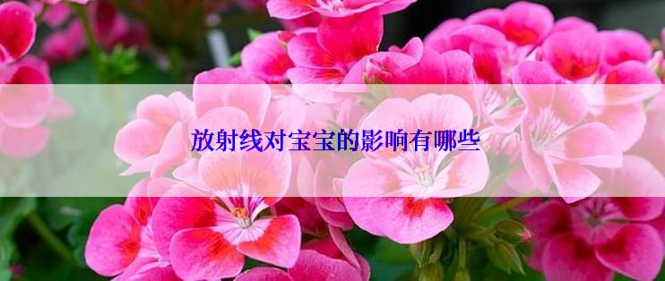  放射线对宝宝的影响有哪些