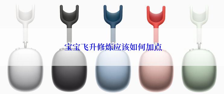  宝宝飞升修炼应该如何加点