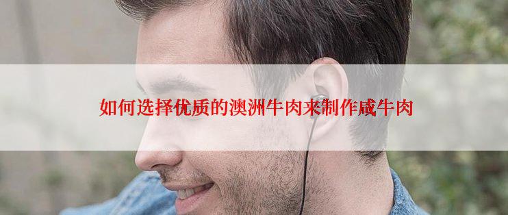  如何选择优质的澳洲牛肉来制作咸牛肉