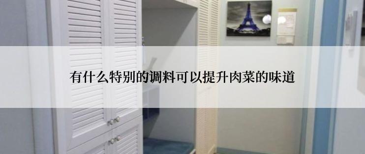 有什么特别的调料可以提升肉菜的味道