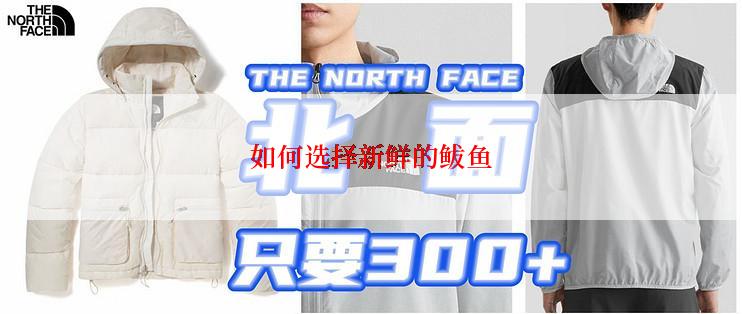 如何选择新鲜的鲅鱼