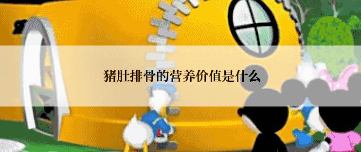  猪肚排骨的营养价值是什么