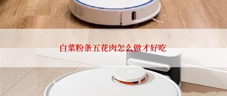 白菜粉条五花肉怎么做才好吃
