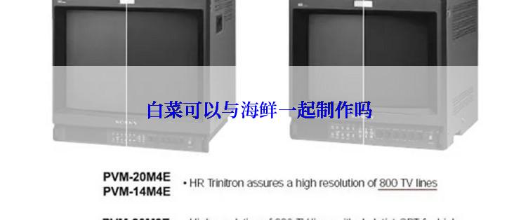 白菜可以与海鲜一起制作吗