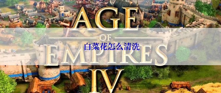  白菜花怎么清洗