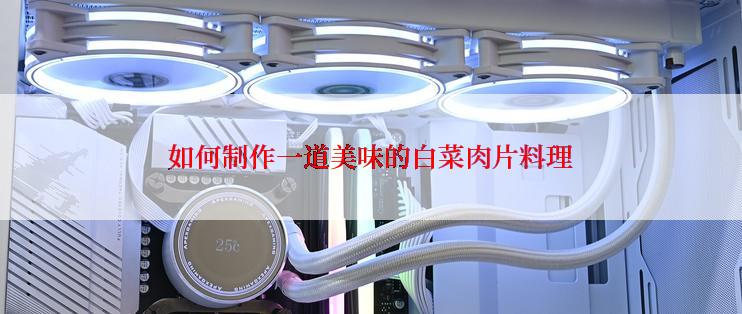 如何制作一道美味的白菜肉片料理
