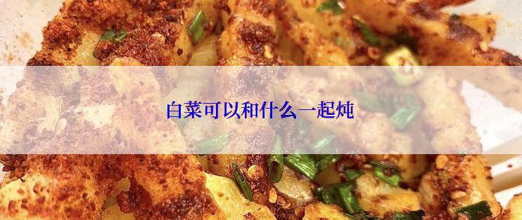 白菜可以和什么一起炖
