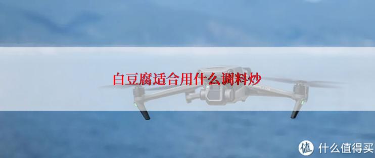 白豆腐适合用什么调料炒