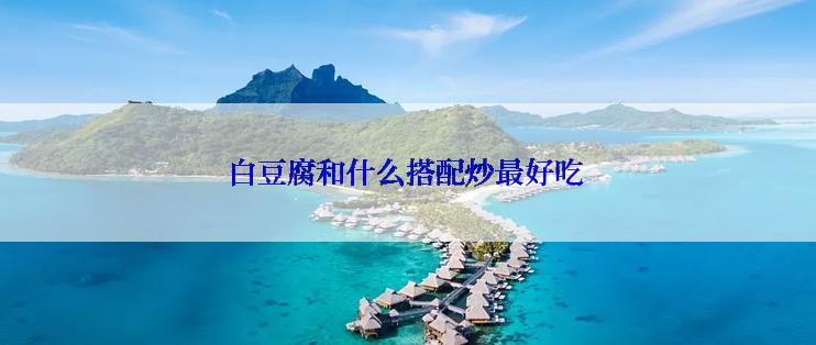 白豆腐和什么搭配炒最好吃