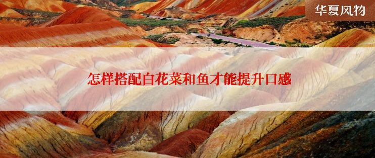  怎样搭配白花菜和鱼才能提升口感