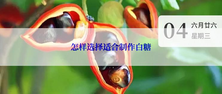 怎样选择适合制作白糖