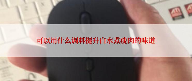 可以用什么调料提升白水煮瘦肉的味道