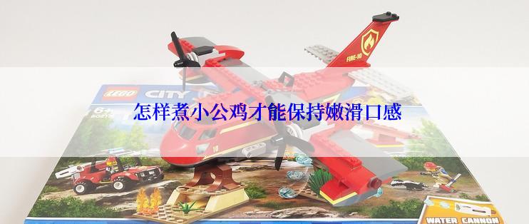  怎样煮小公鸡才能保持嫩滑口感