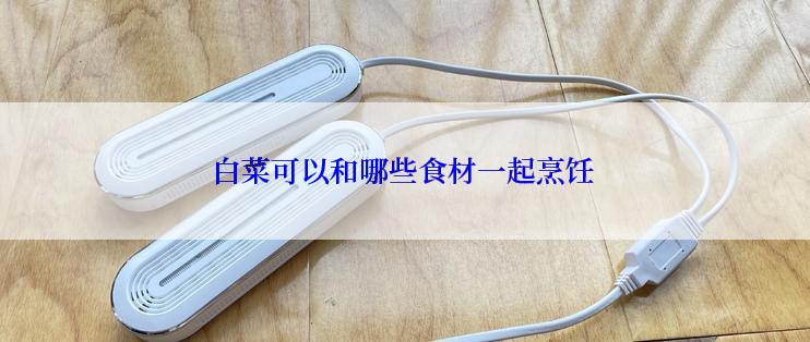 白菜可以和哪些食材一起烹饪
