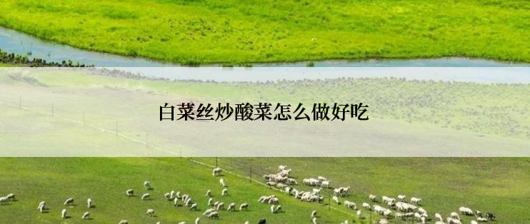 白菜丝炒酸菜怎么做好吃