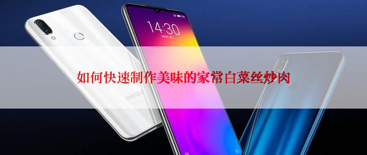 如何快速制作美味的家常白菜丝炒肉