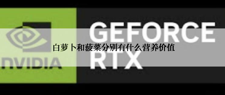  白萝卜和菠菜分别有什么营养价值