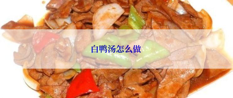 白鸭汤怎么做