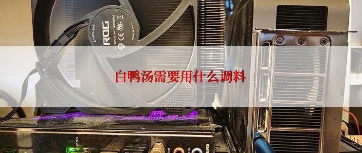 白鸭汤需要用什么调料