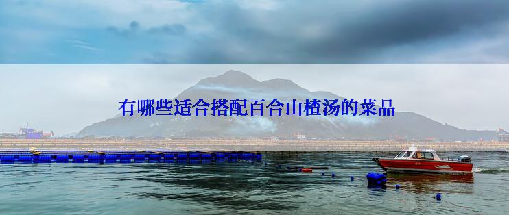  有哪些适合搭配百合山楂汤的菜品