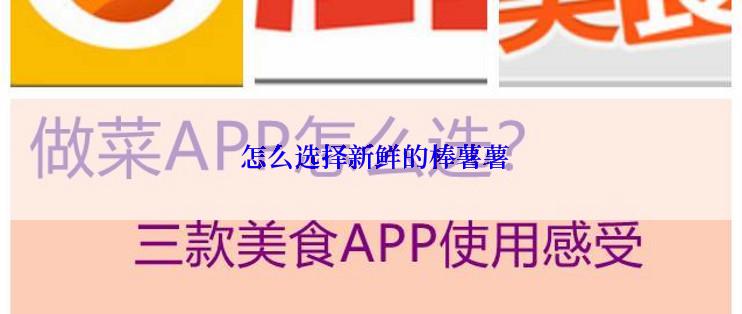  怎么选择新鲜的棒薯薯