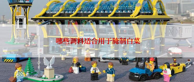  哪些调料适合用于腌制白菜