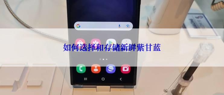 如何选择和存储新鲜紫甘蓝