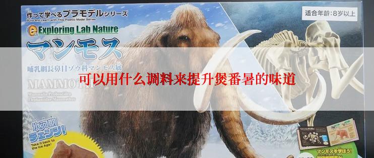 可以用什么调料来提升煲番暑的味道