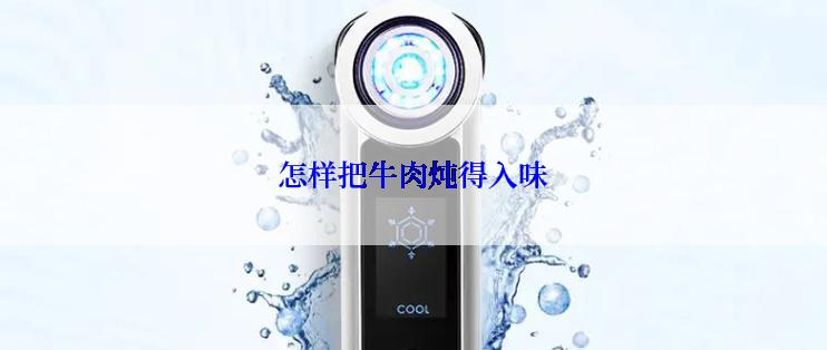 怎样把牛肉炖得入味