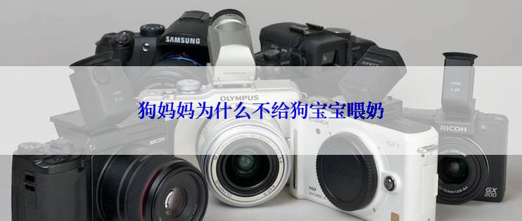 狗妈妈为什么不给狗宝宝喂奶