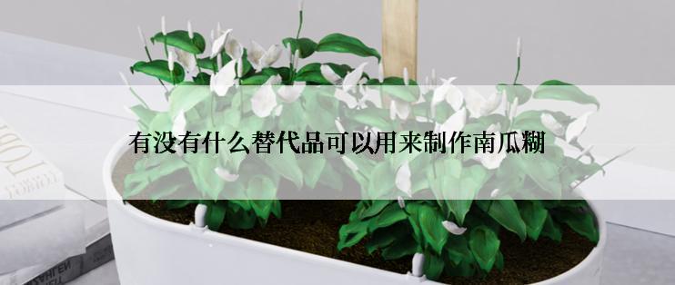 有没有什么替代品可以用来制作南瓜糊