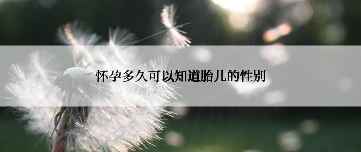 怀孕多久可以知道胎儿的性别