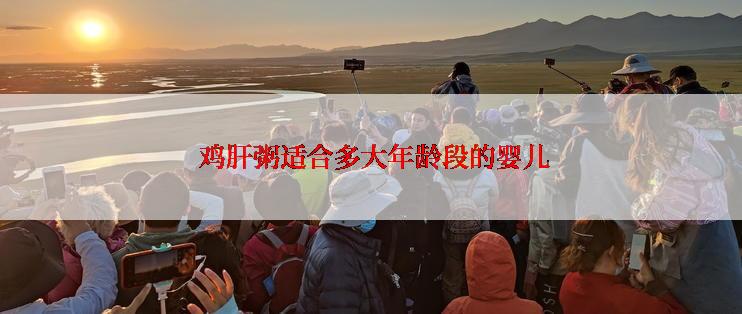  鸡肝粥适合多大年龄段的婴儿