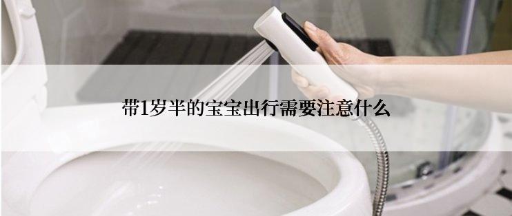 带1岁半的宝宝出行需要注意什么