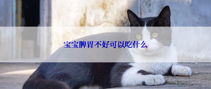 宝宝脾胃不好可以吃什么