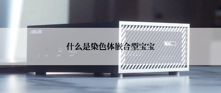什么是染色体嵌合型宝宝