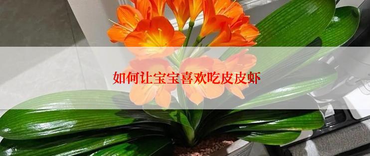  如何让宝宝喜欢吃皮皮虾