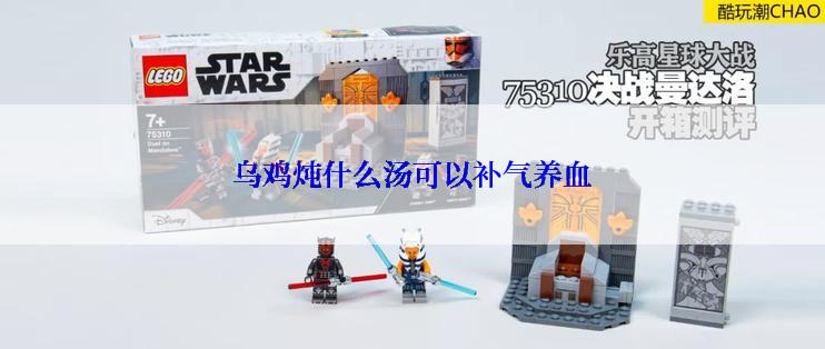 乌鸡炖什么汤可以补气养血