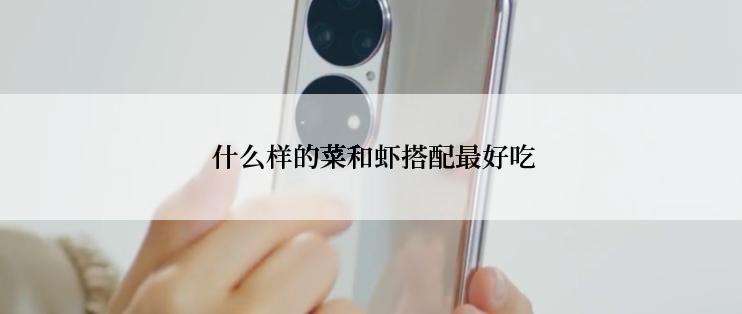  什么样的菜和虾搭配最好吃